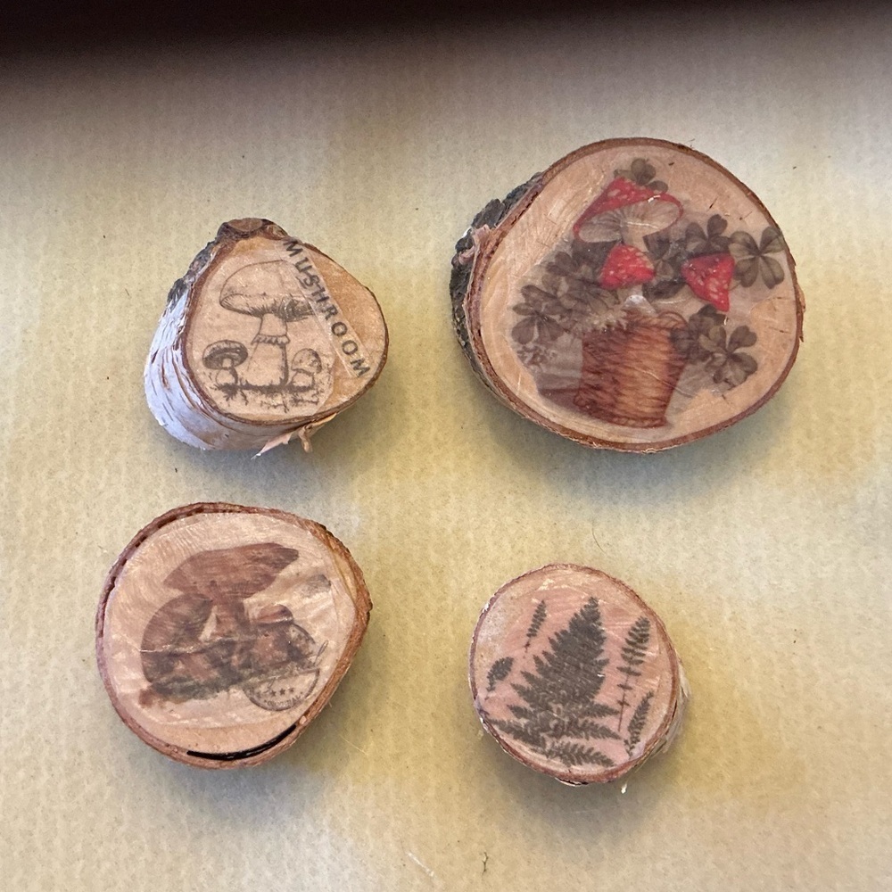 Decorative Wood Slice magnets with Nature Prints